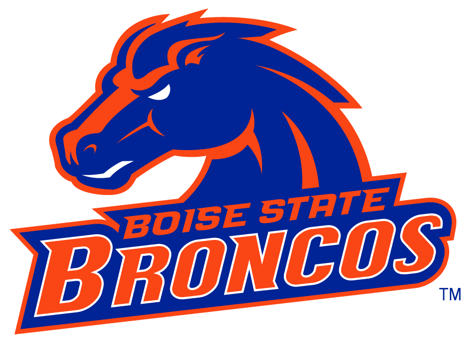 Boise State Broncos 2002-2012 Secondary Logo v26 diy DTF decal sticker